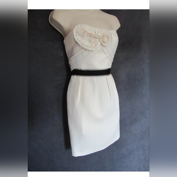 BCBG Cream Dress -Size 8 - Picture 4 of 16
